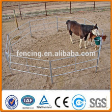 Galvanized heavy duty tube horse panel